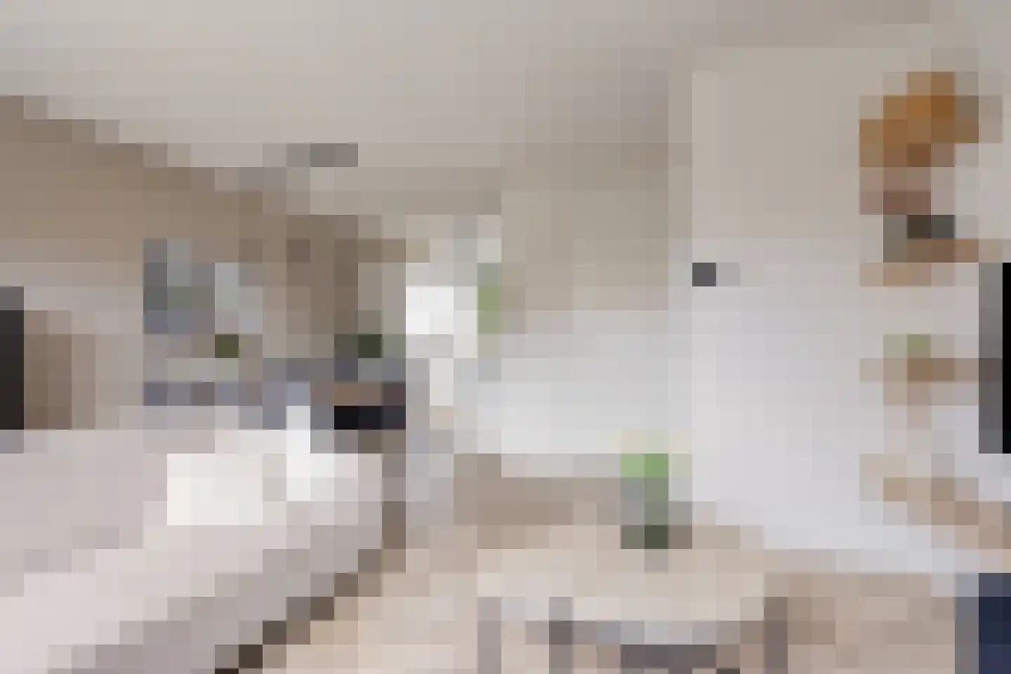 Dille 18 Asten thumbnail 9