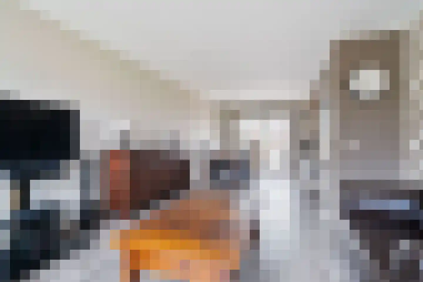 Dille 2 Dronten thumbnail 10