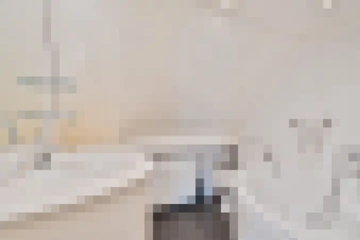 Dille 2 Dronten thumbnail 20