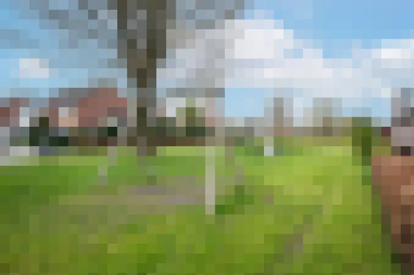 Dille 2 Dronten thumbnail 27