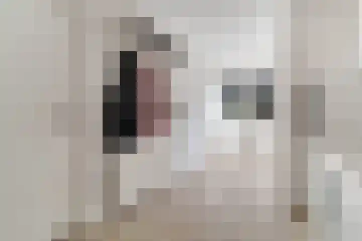 Dille 20 Nijverdal thumbnail 11