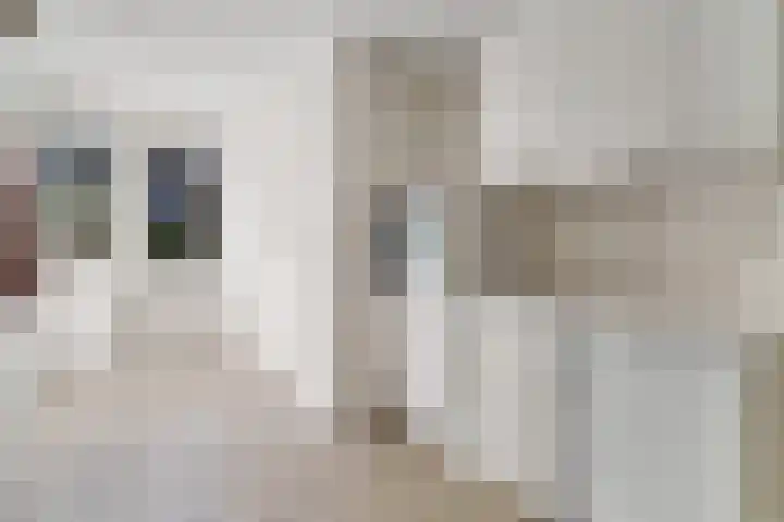 Dille 20 Nijverdal thumbnail 12