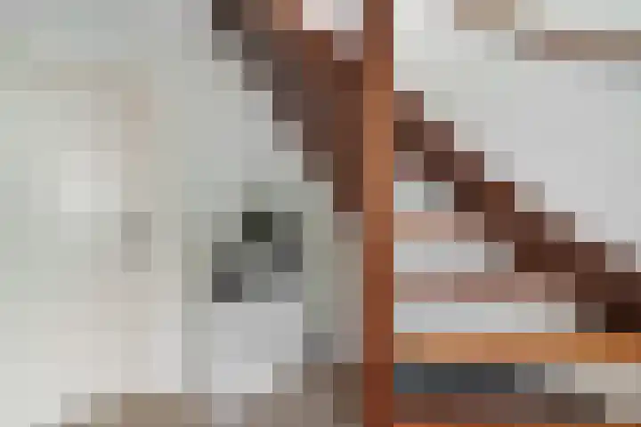 Dille 20 Nijverdal thumbnail 14