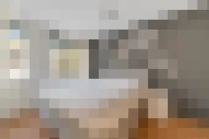 Dille 20 Nijverdal thumbnail 16