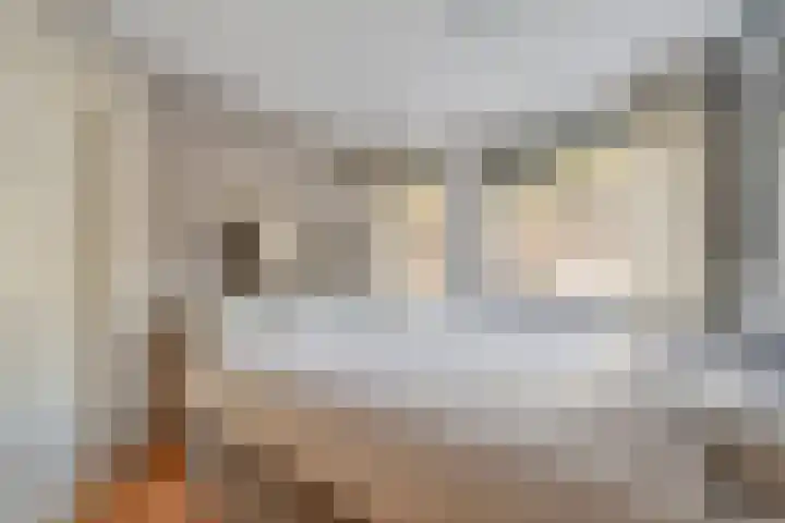 Dille 20 Nijverdal thumbnail 17