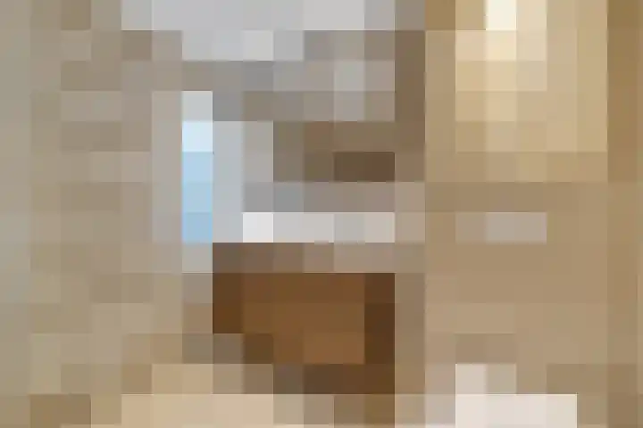 Dille 20 Nijverdal thumbnail 20