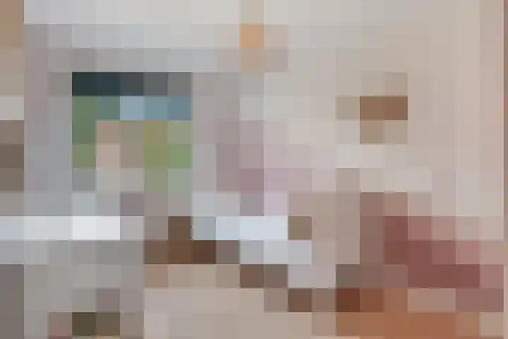 Dille 20 Nijverdal thumbnail 21