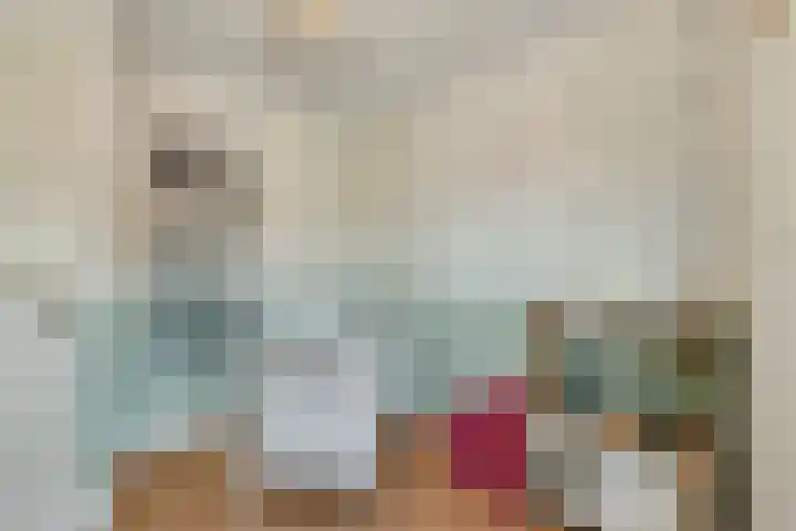 Dille 20 Nijverdal thumbnail 24
