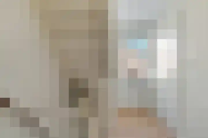 Dille 20 Nijverdal thumbnail 25
