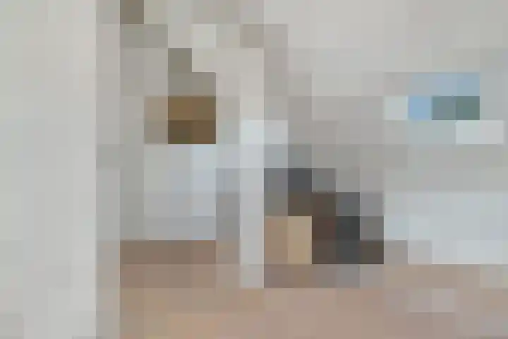 Dille 20 Nijverdal thumbnail 26