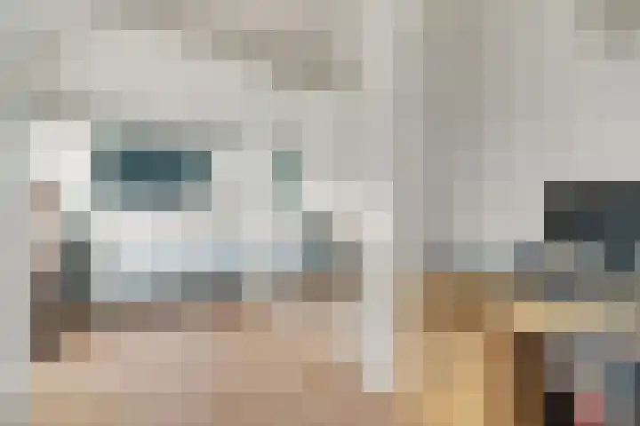 Dille 20 Nijverdal thumbnail 27