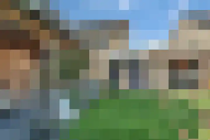 Dille 20 Nijverdal thumbnail 29