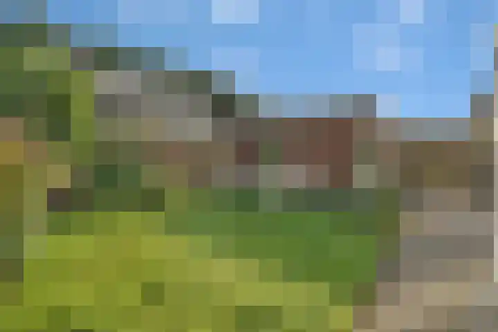 Dille 20 Nijverdal thumbnail 30