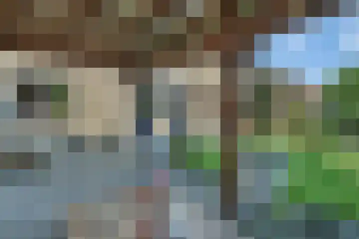 Dille 20 Nijverdal thumbnail 31