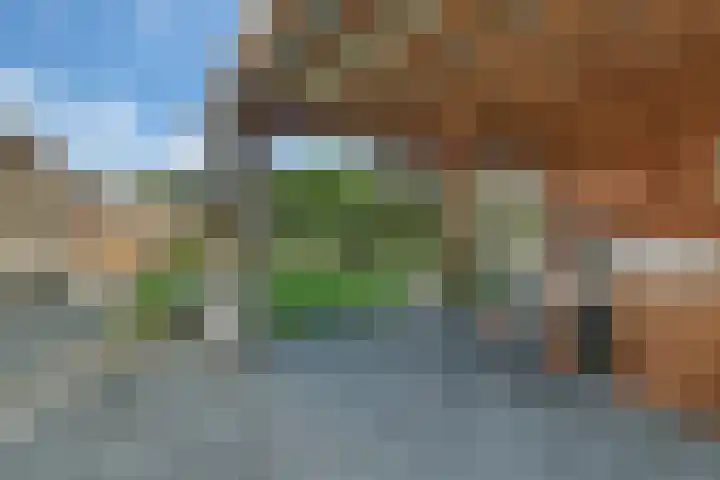 Dille 20 Nijverdal thumbnail 32