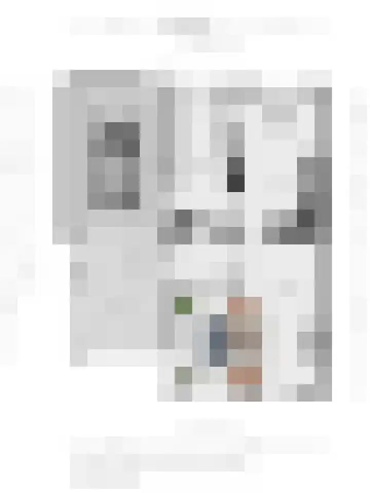 Dille 20 Nijverdal thumbnail 37