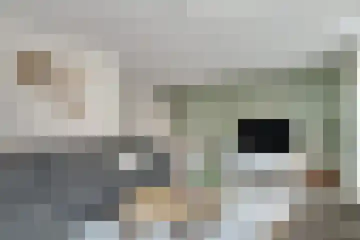 Dille 20 Nijverdal thumbnail 5
