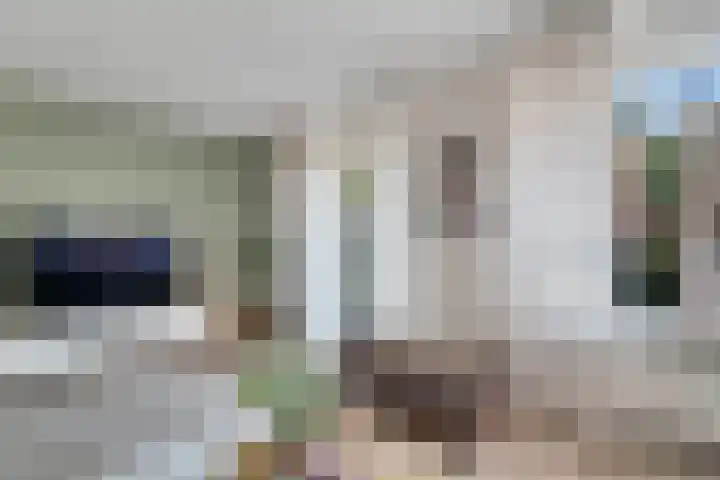 Dille 20 Nijverdal thumbnail 6
