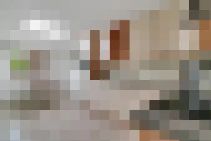 Dille 20 Nijverdal thumbnail 7