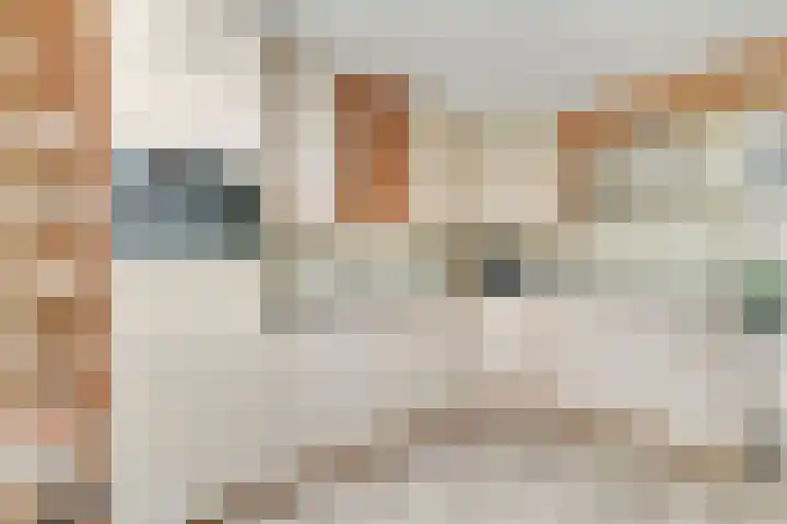Dille 20 Nijverdal thumbnail 8