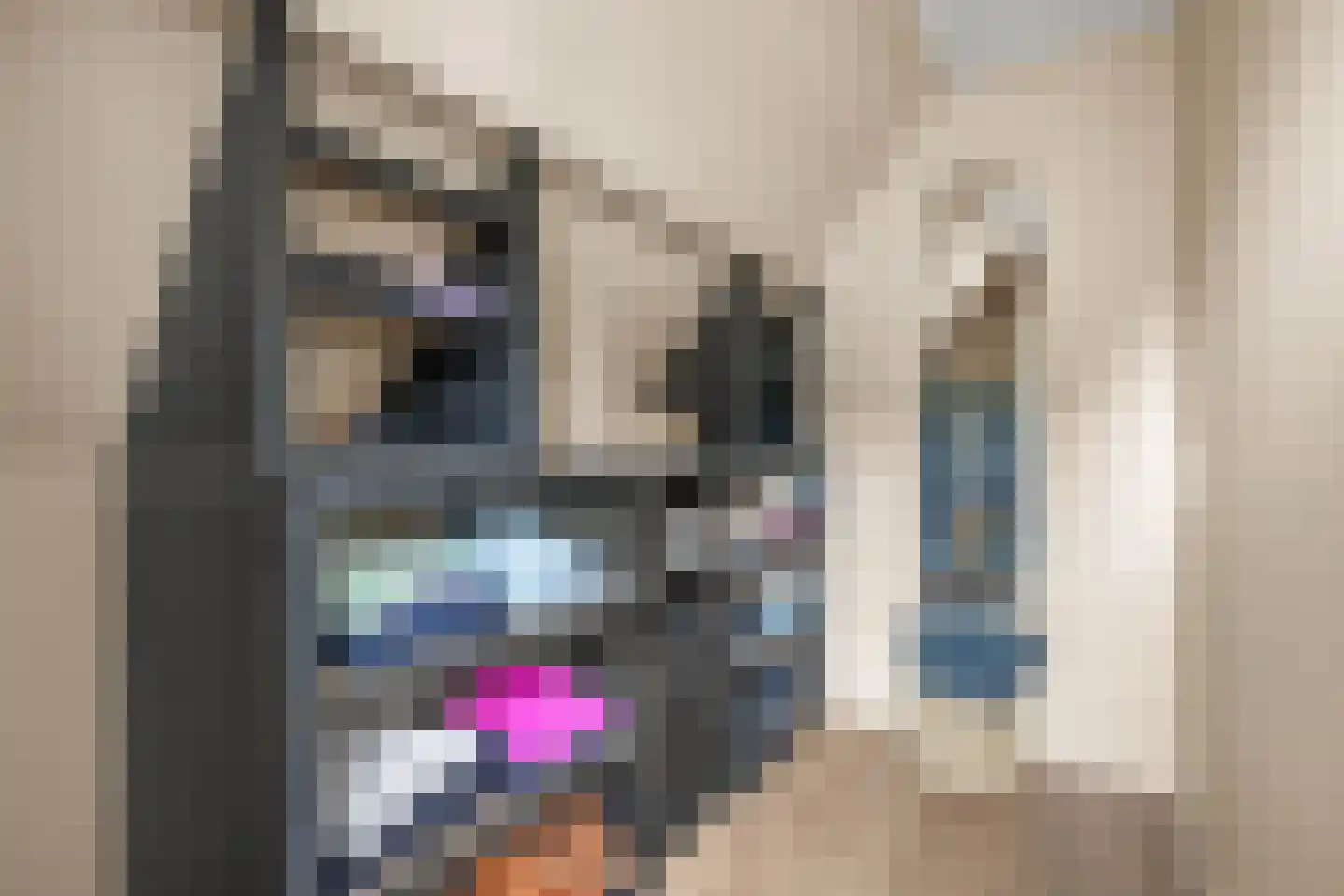 Dille 23 Dronten thumbnail 18