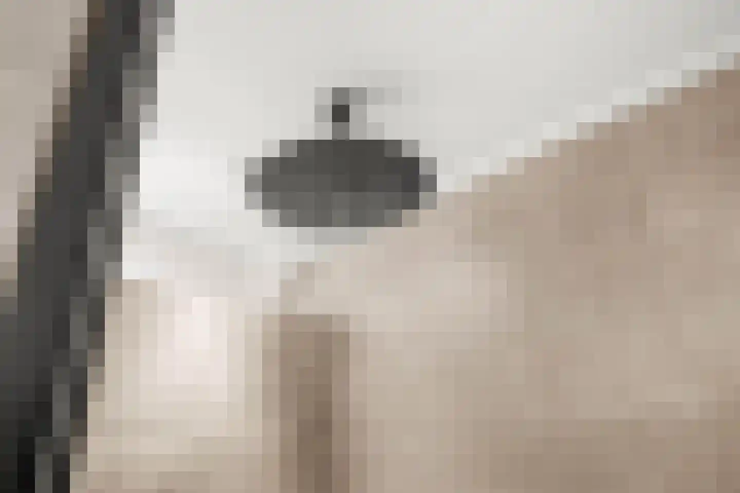 Dille 23 Dronten thumbnail 22