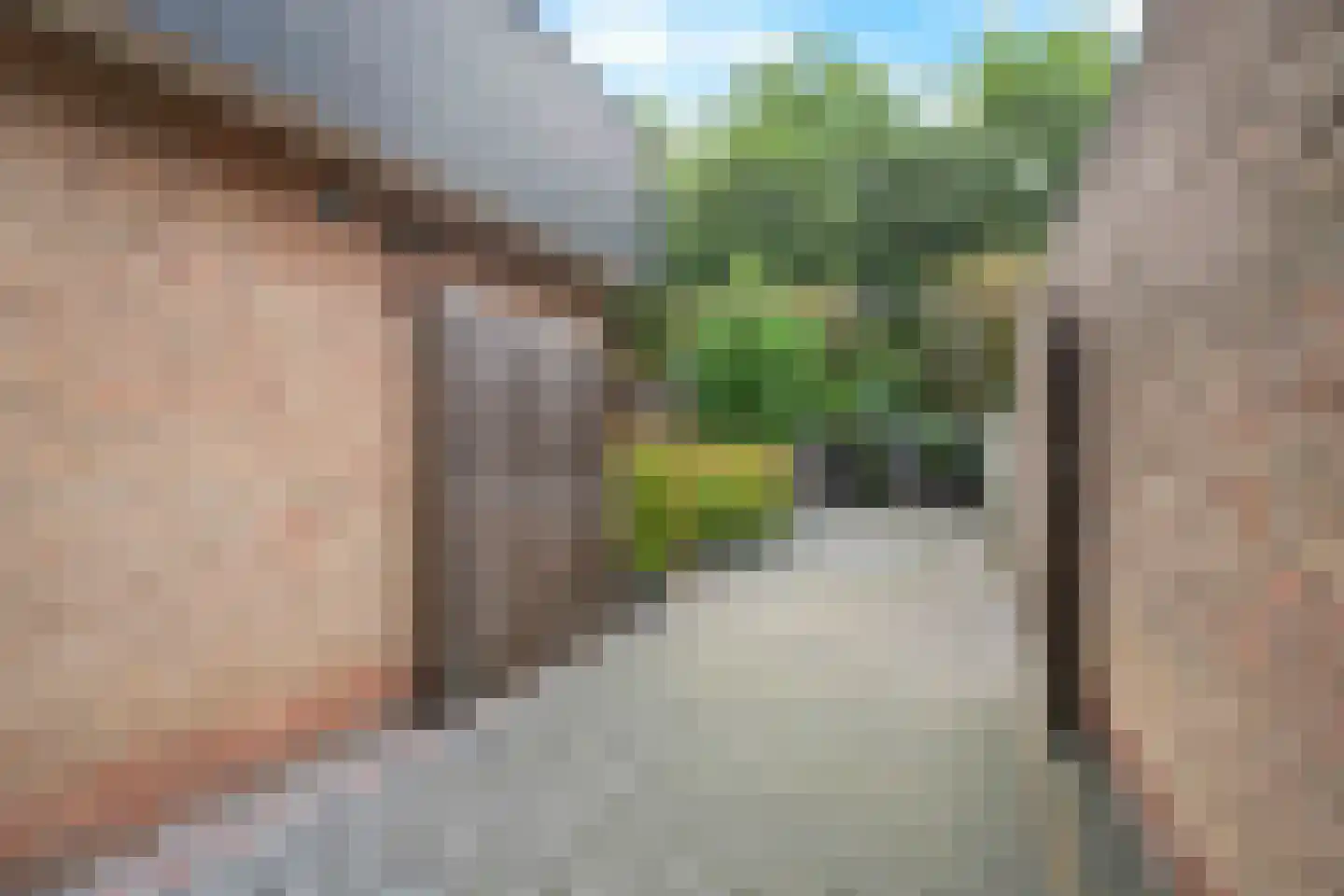 Dille 23 Dronten thumbnail 25