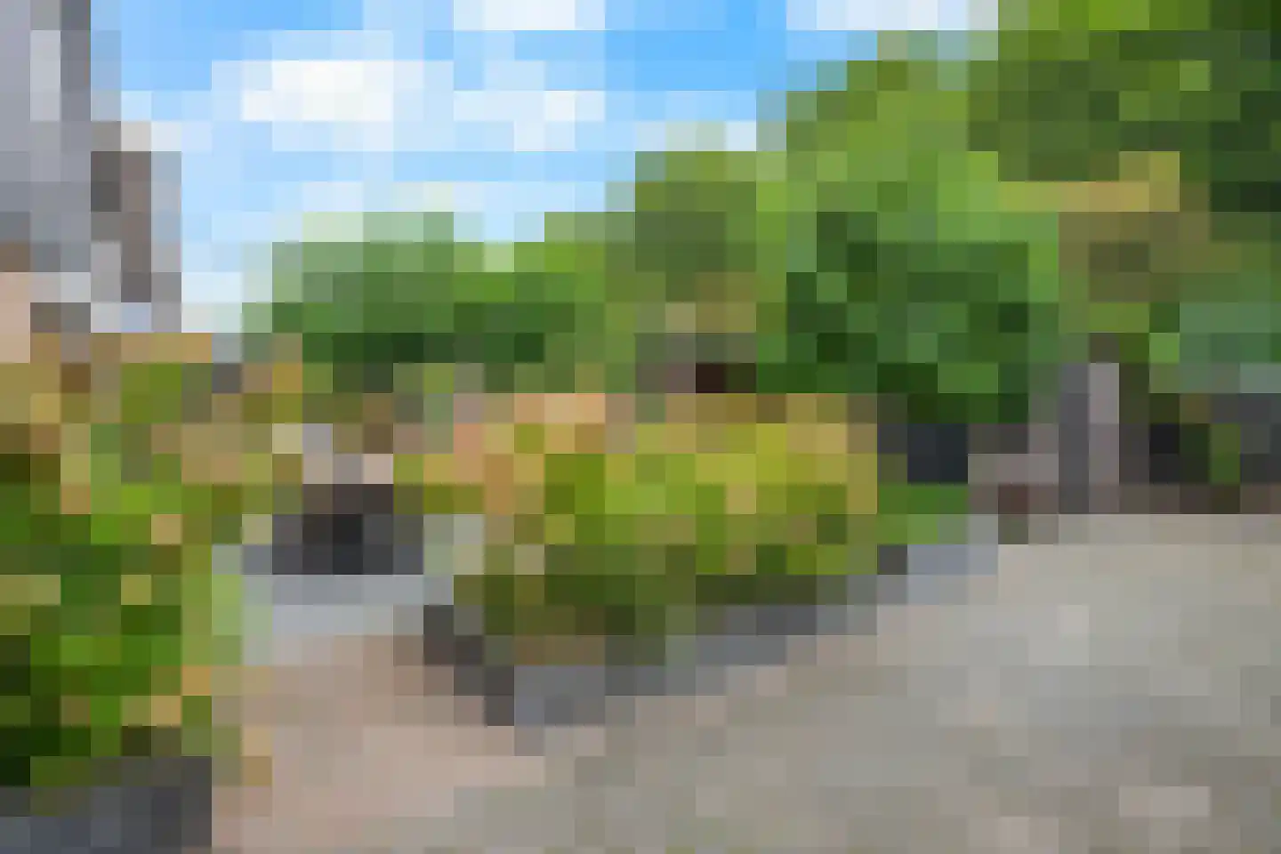 Dille 23 Dronten thumbnail 26