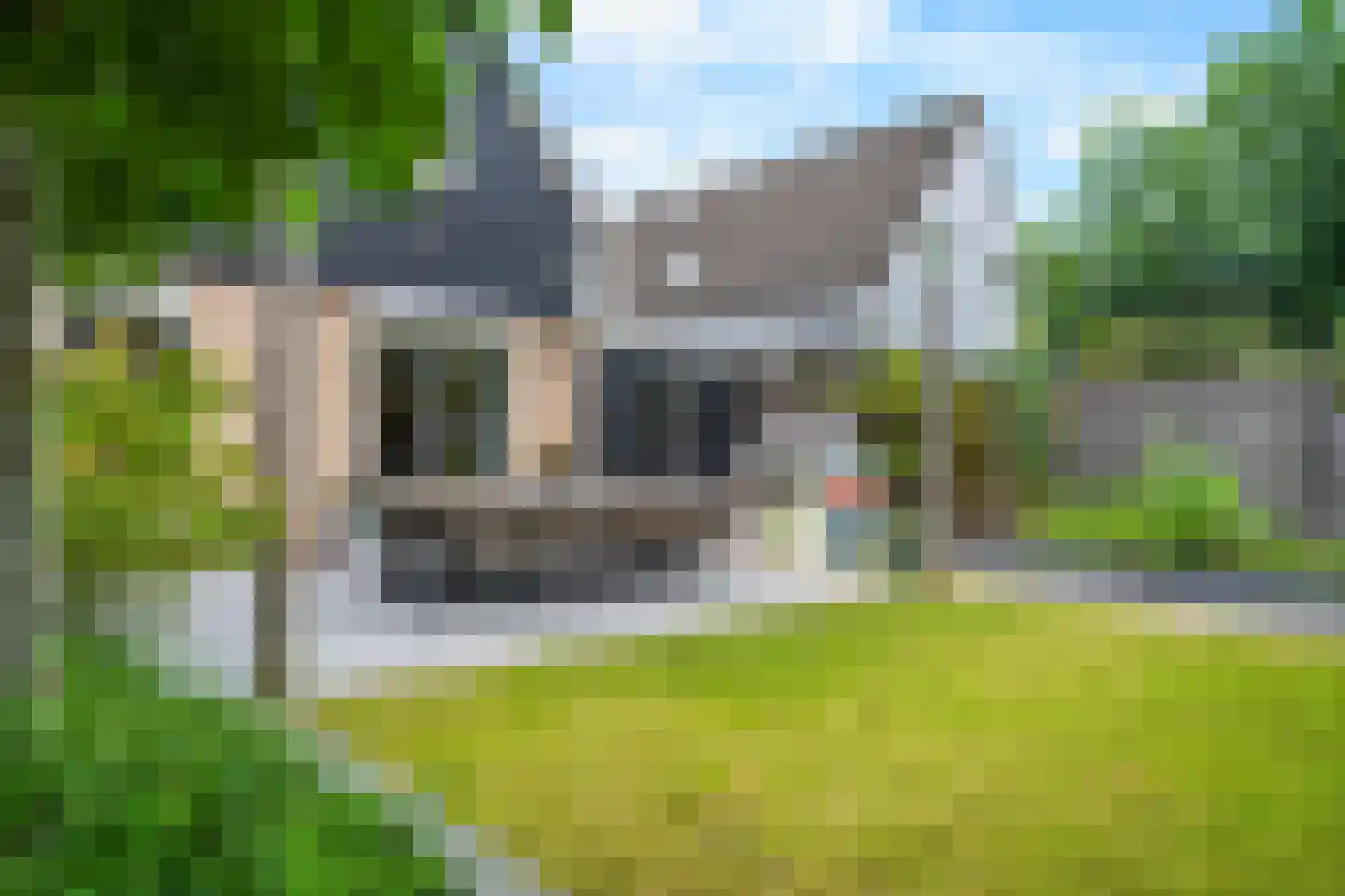 Dille 23 Dronten thumbnail 28