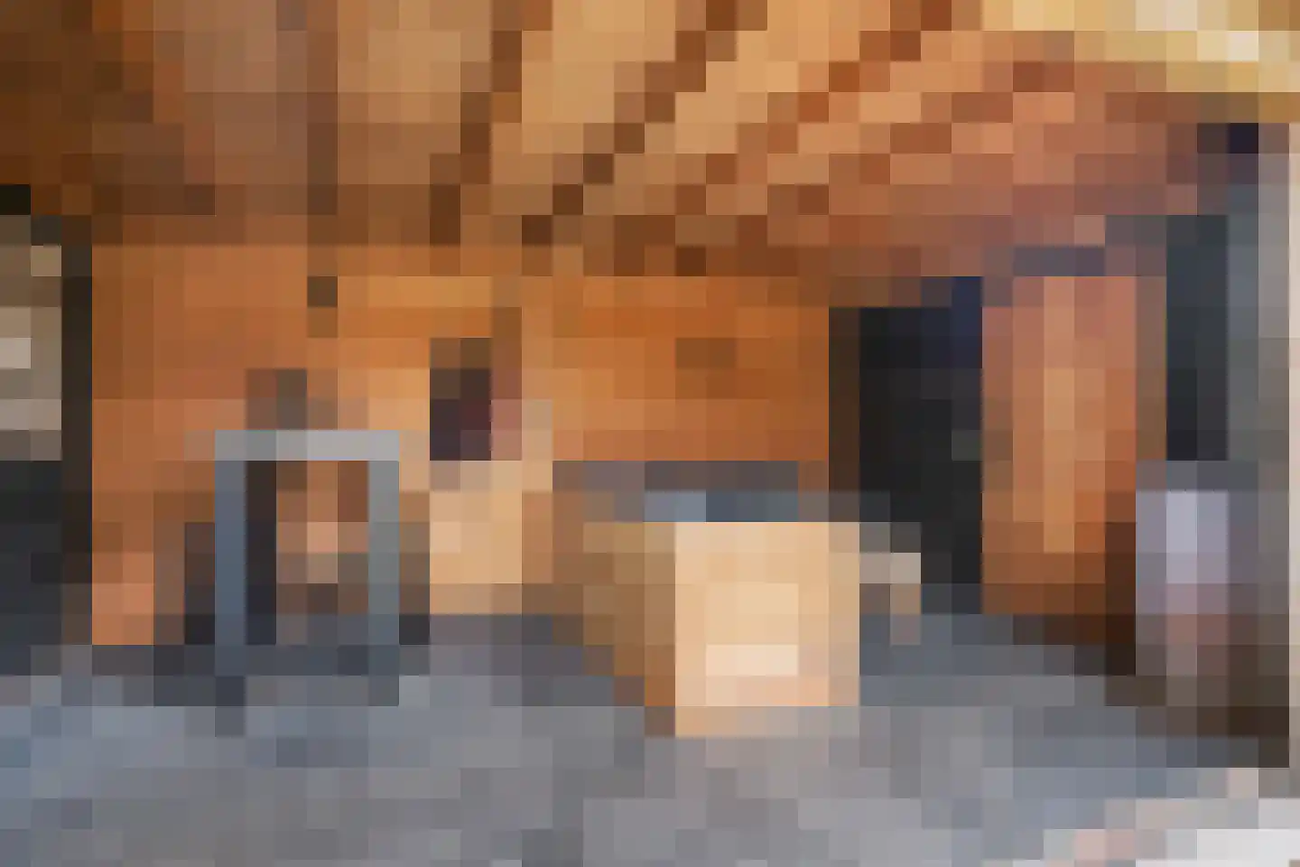 Dille 23 Dronten thumbnail 30