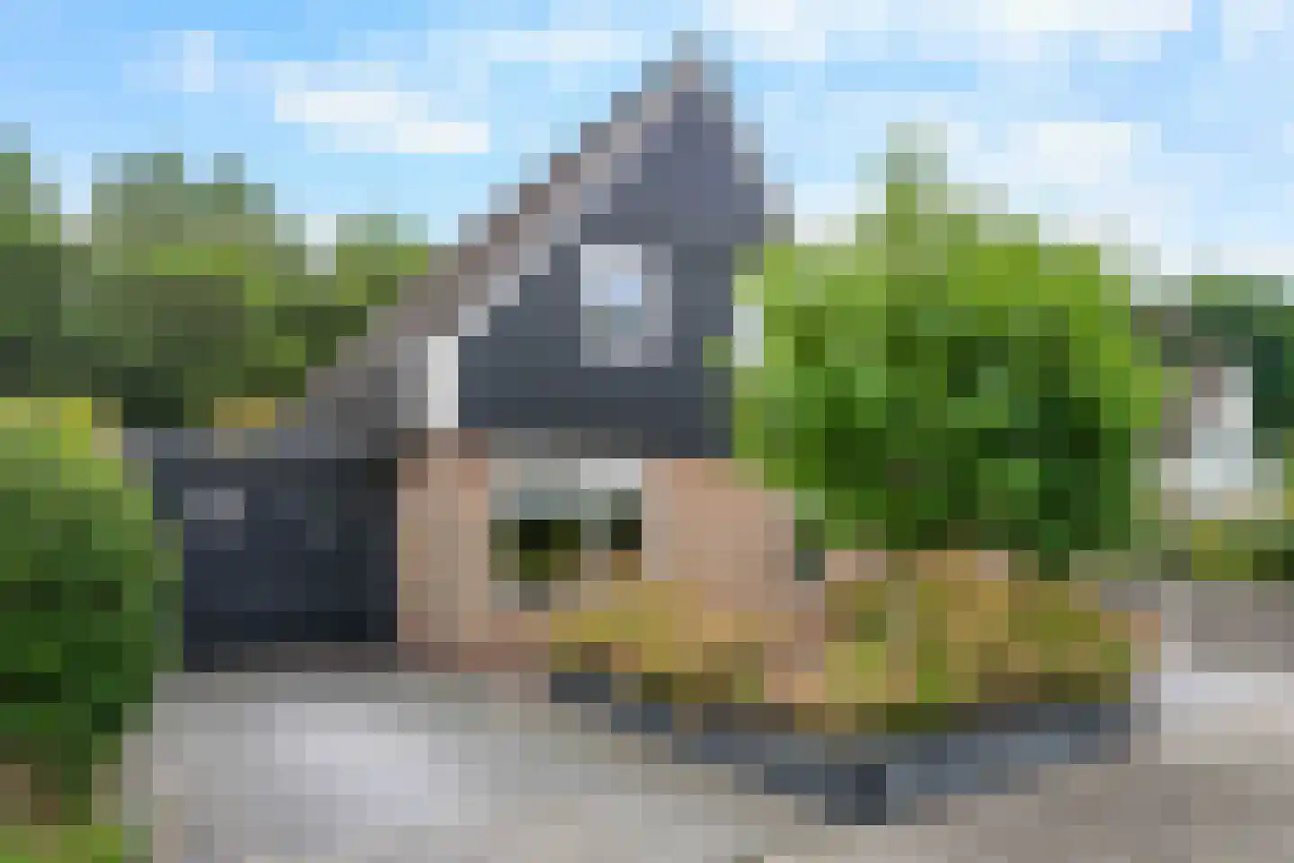 Dille 23 Dronten thumbnail 36