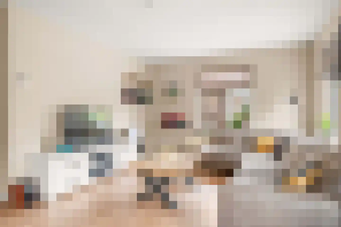 Dille 23 Dronten thumbnail 8