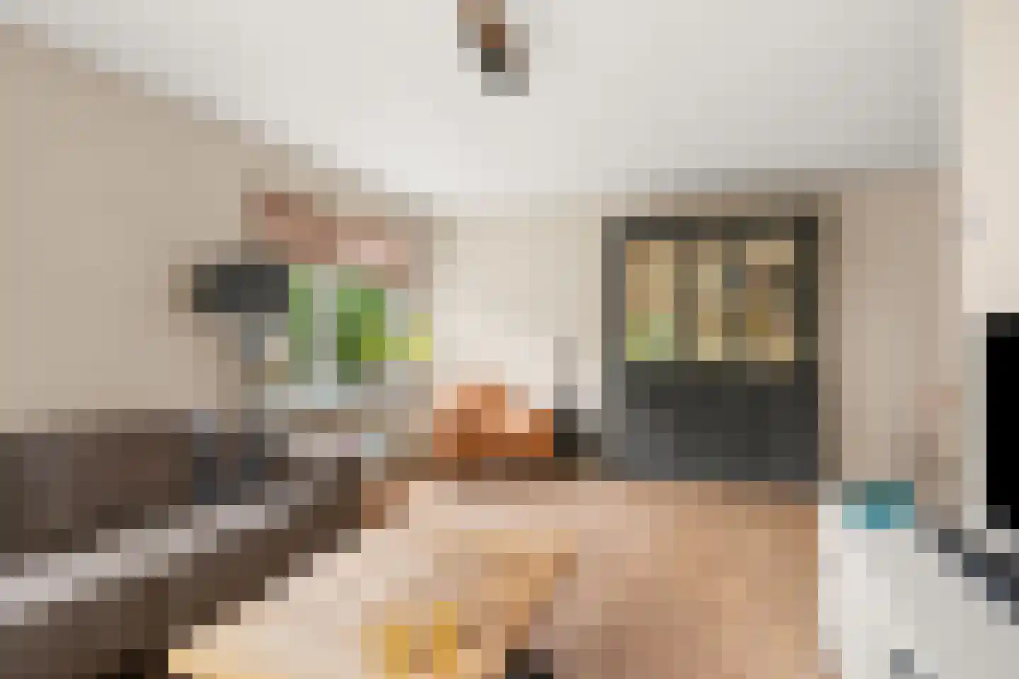 Dille 23 Dronten thumbnail 9