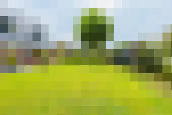 Dille 25 Gorredijk thumbnail 18