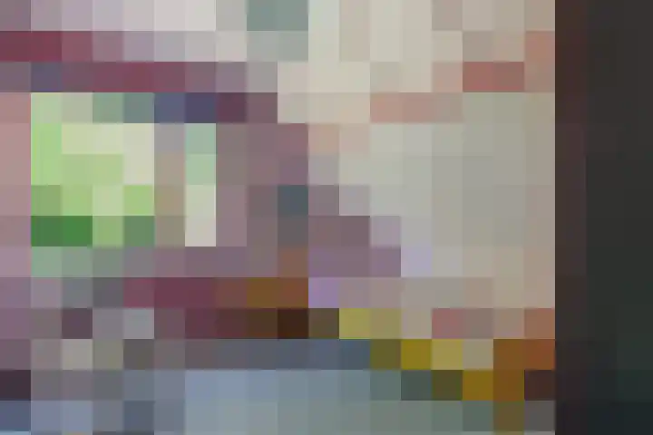 Dille 29 Nijverdal thumbnail 11