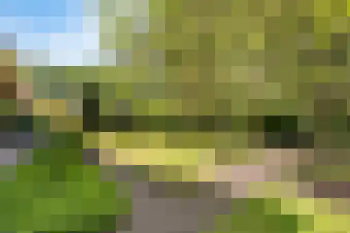 Dille 29 Nijverdal thumbnail 14