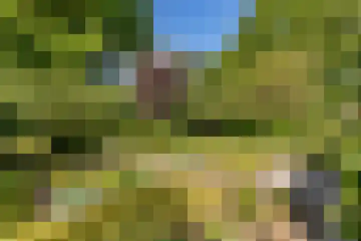 Dille 29 Nijverdal thumbnail 15