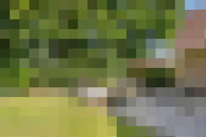 Dille 29 Nijverdal thumbnail 16