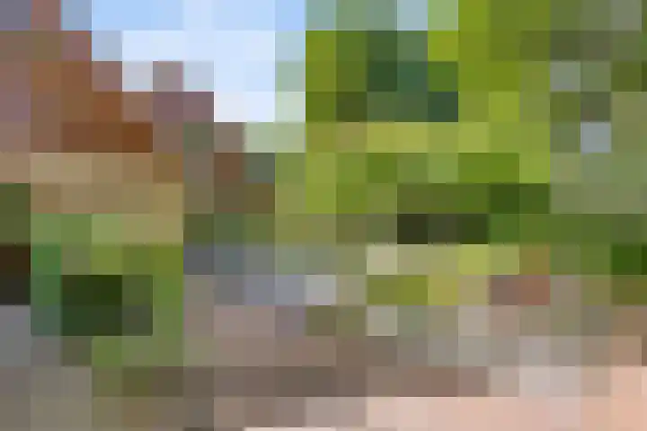 Dille 29 Nijverdal thumbnail 4