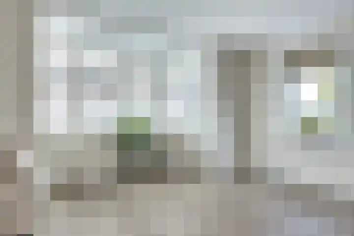 Dille 3 Heerhugowaard thumbnail 10