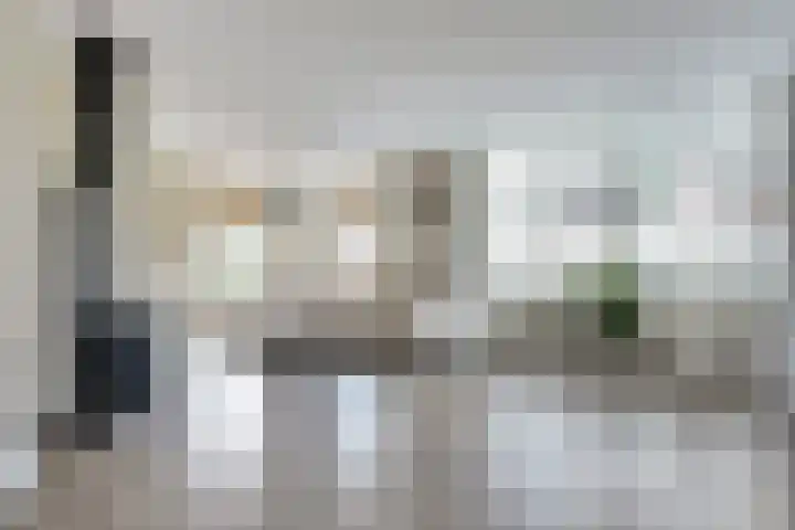Dille 3 Heerhugowaard thumbnail 11
