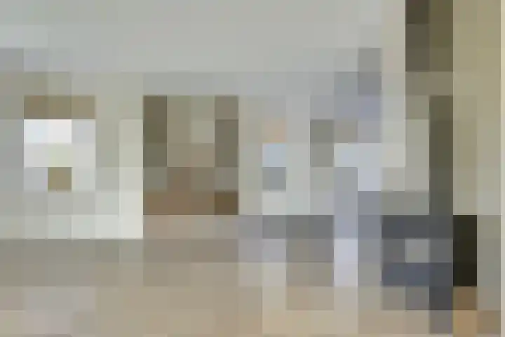 Dille 3 Heerhugowaard thumbnail 12