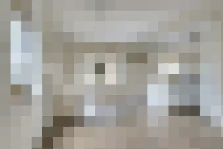 Dille 3 Heerhugowaard thumbnail 15