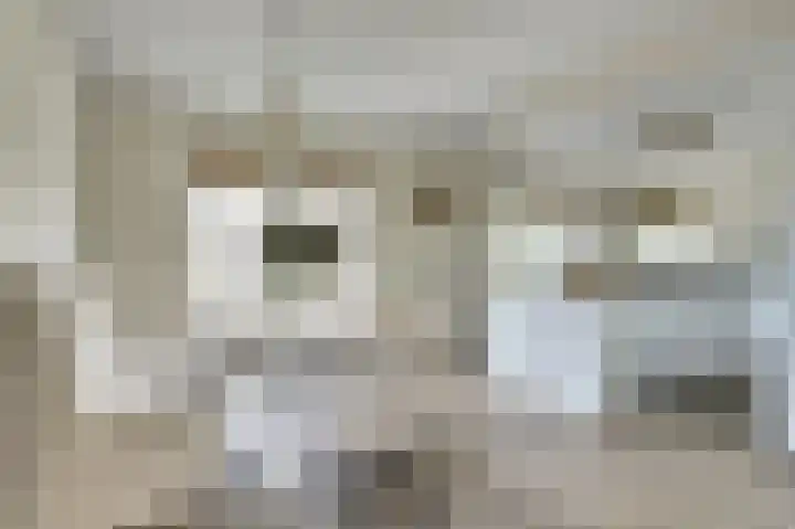 Dille 3 Heerhugowaard thumbnail 17