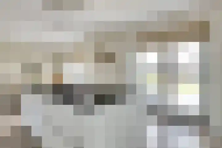 Dille 3 Heerhugowaard thumbnail 20
