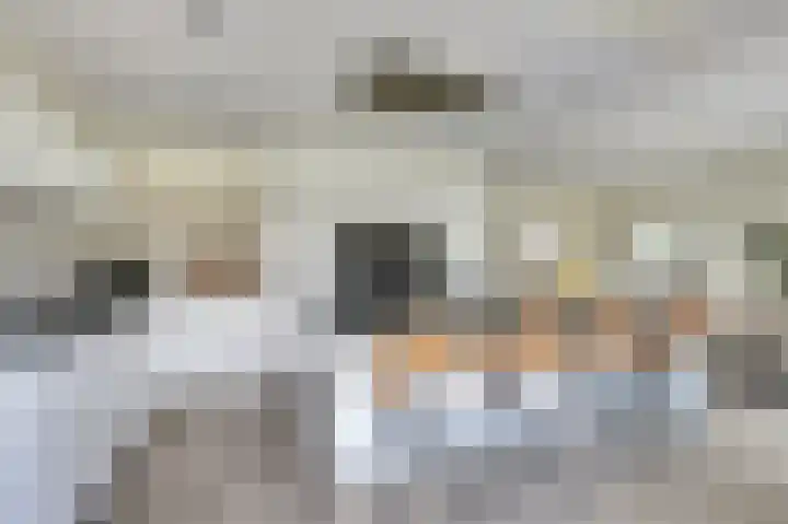 Dille 3 Heerhugowaard thumbnail 21
