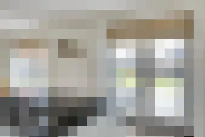 Dille 3 Heerhugowaard thumbnail 22