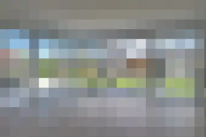 Dille 3 Heerhugowaard thumbnail 23