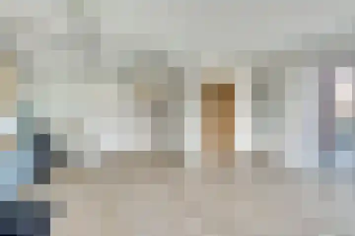 Dille 3 Heerhugowaard thumbnail 24