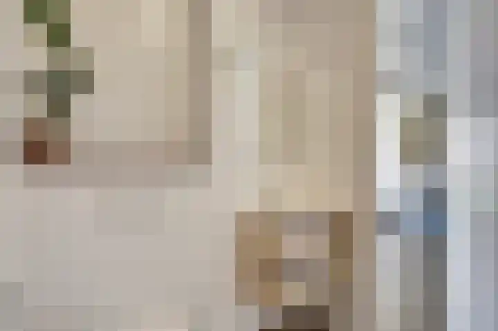 Dille 3 Heerhugowaard thumbnail 25